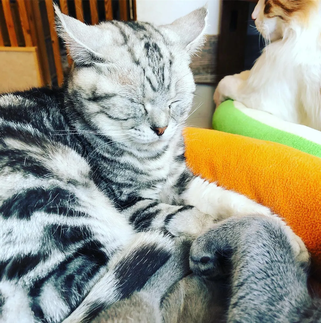 投稿の写真6