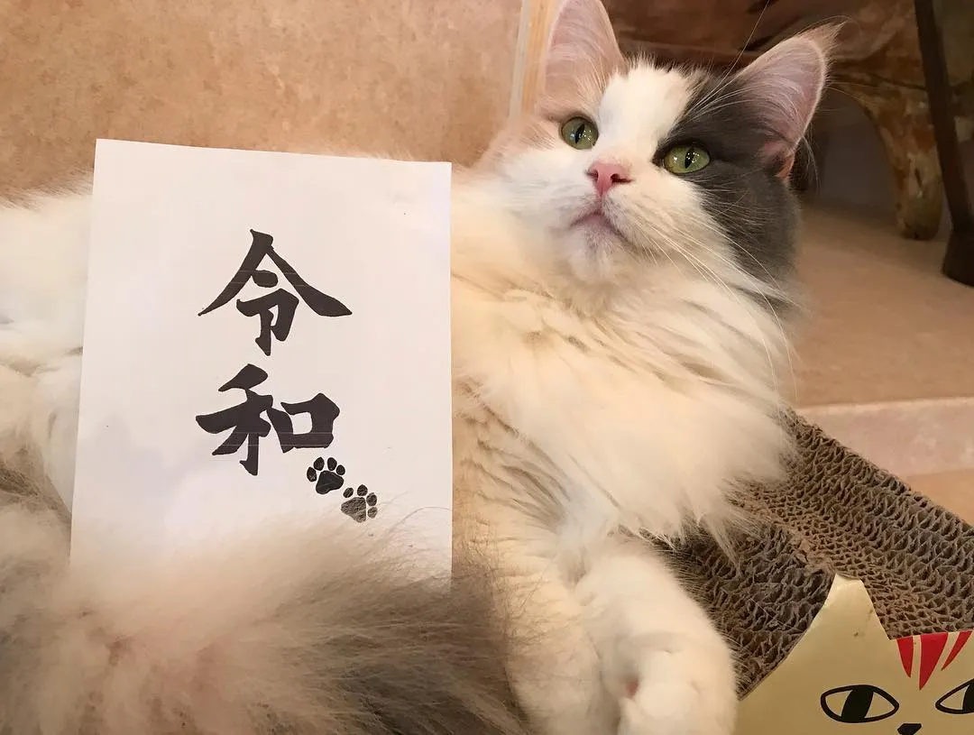 投稿の写真5