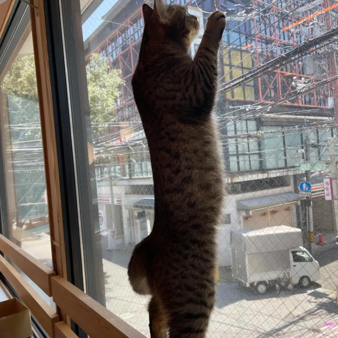 投稿の写真3