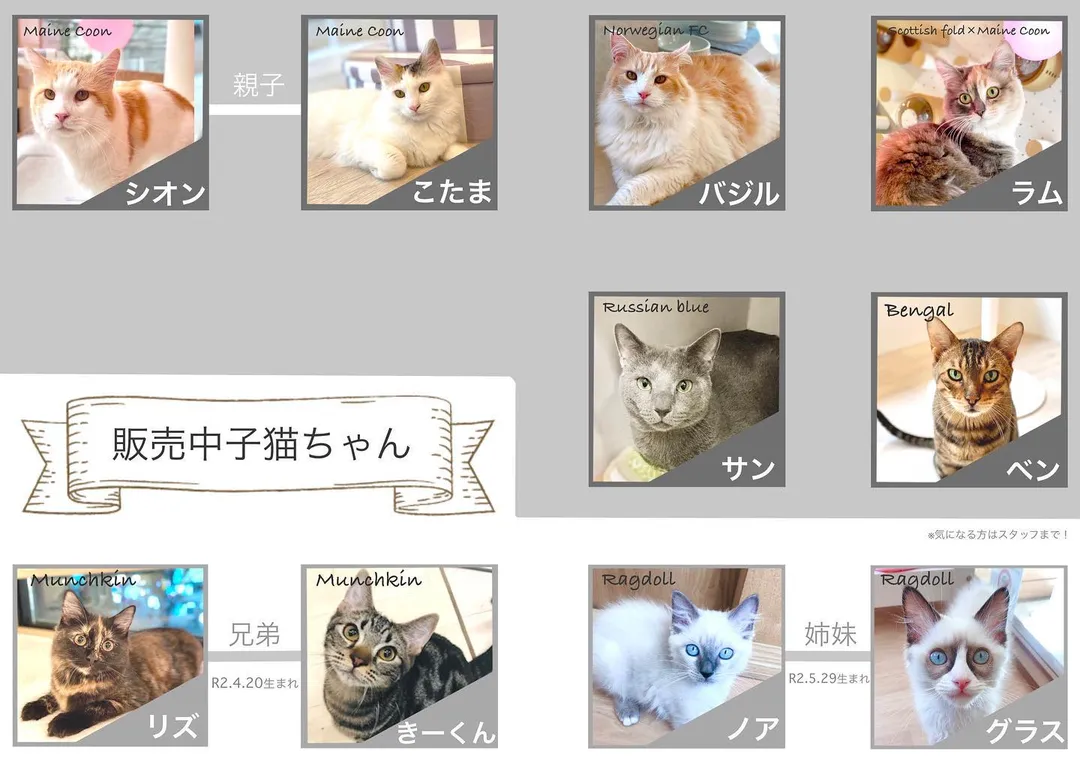 投稿の写真3