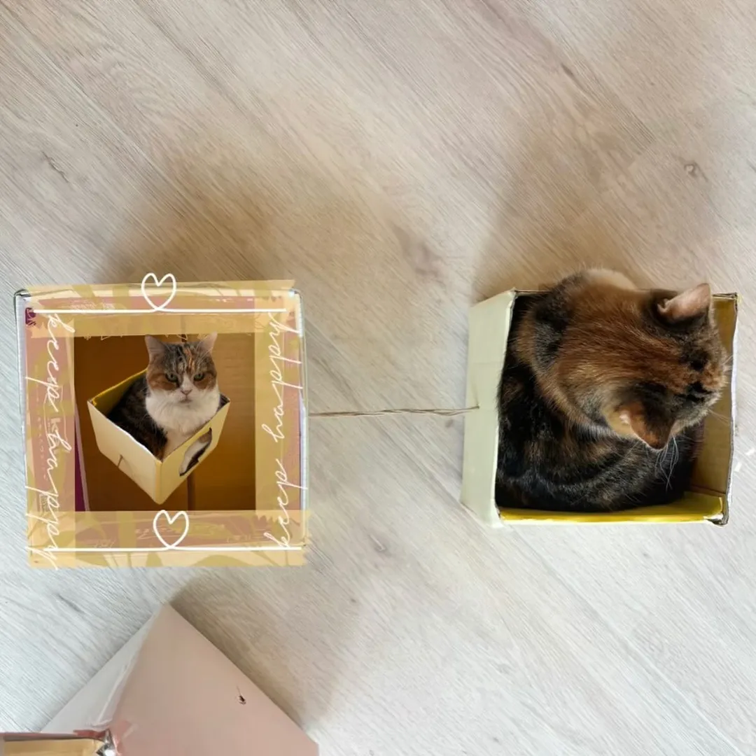 投稿の写真2