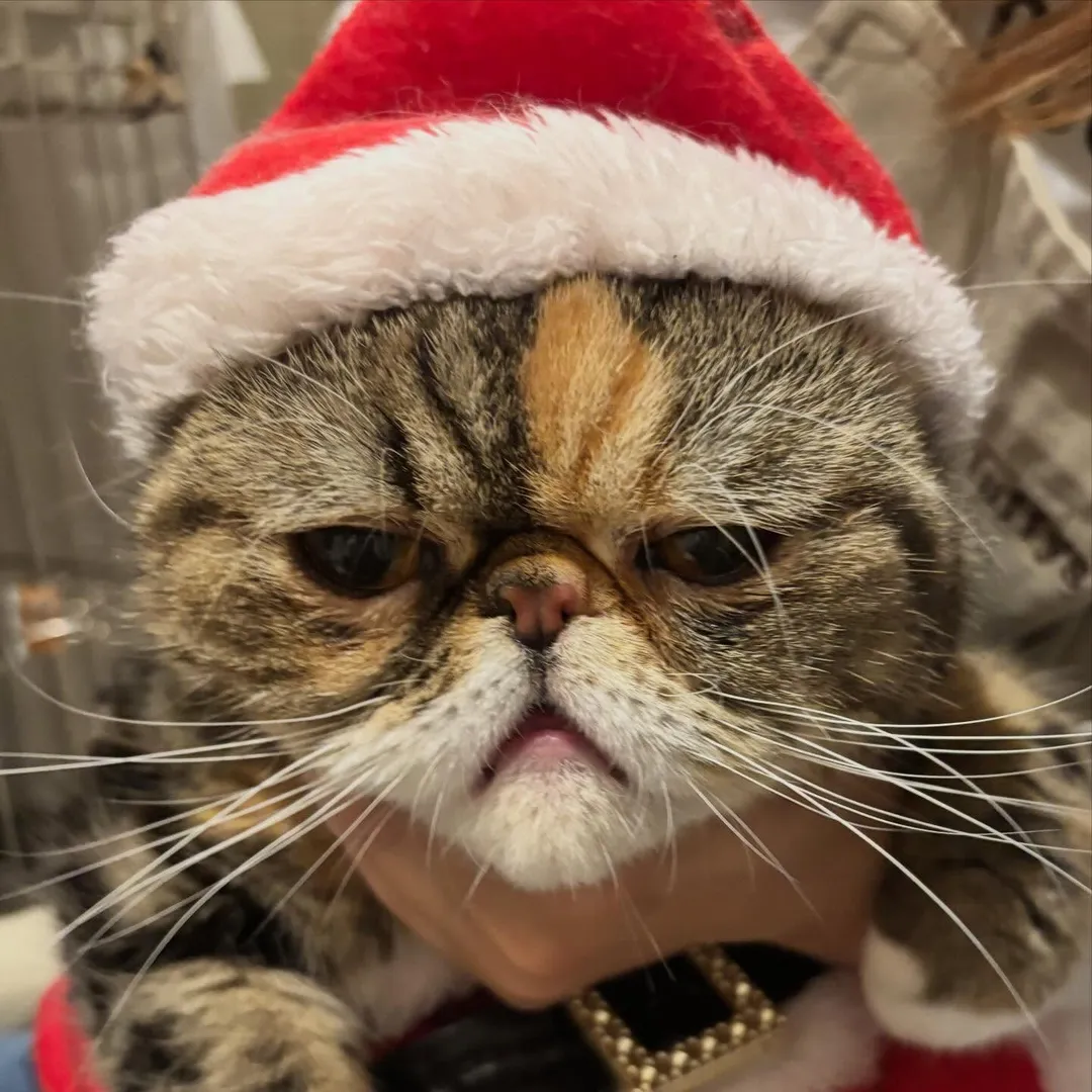 投稿の写真2