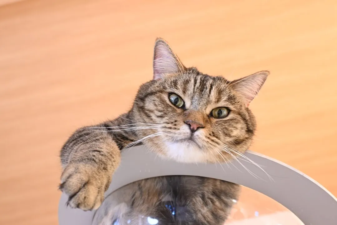投稿の写真1