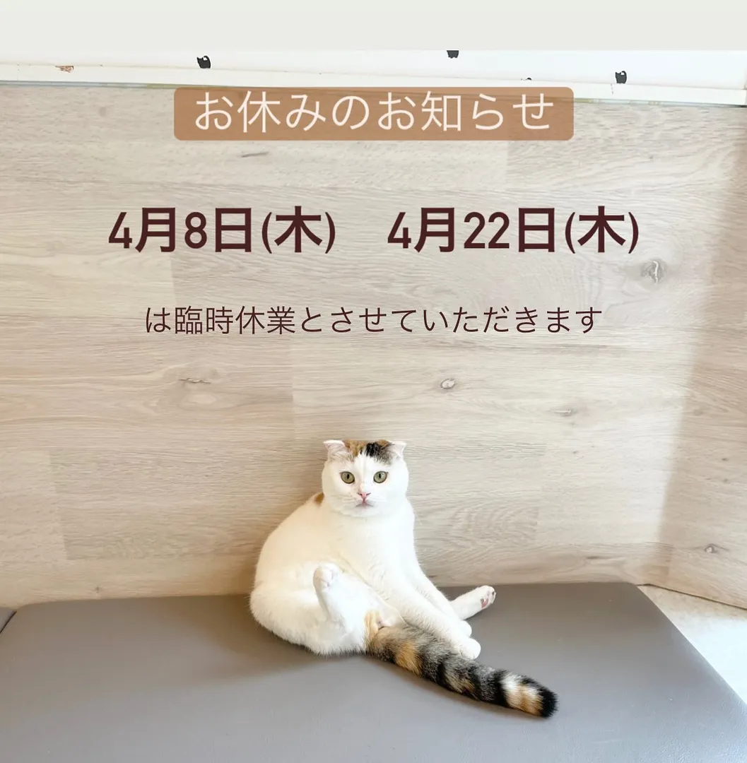 投稿の写真