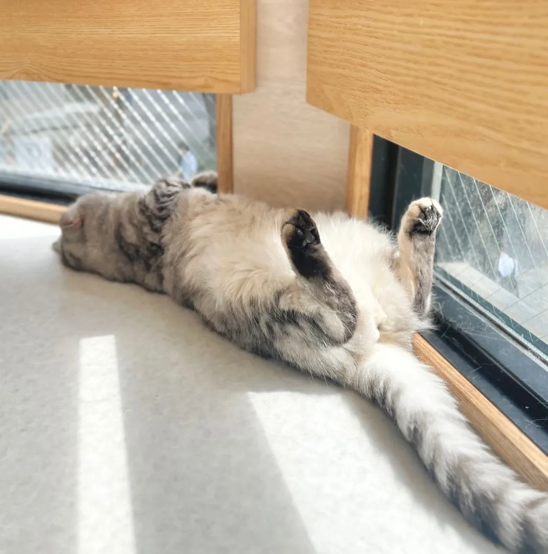 投稿の写真2