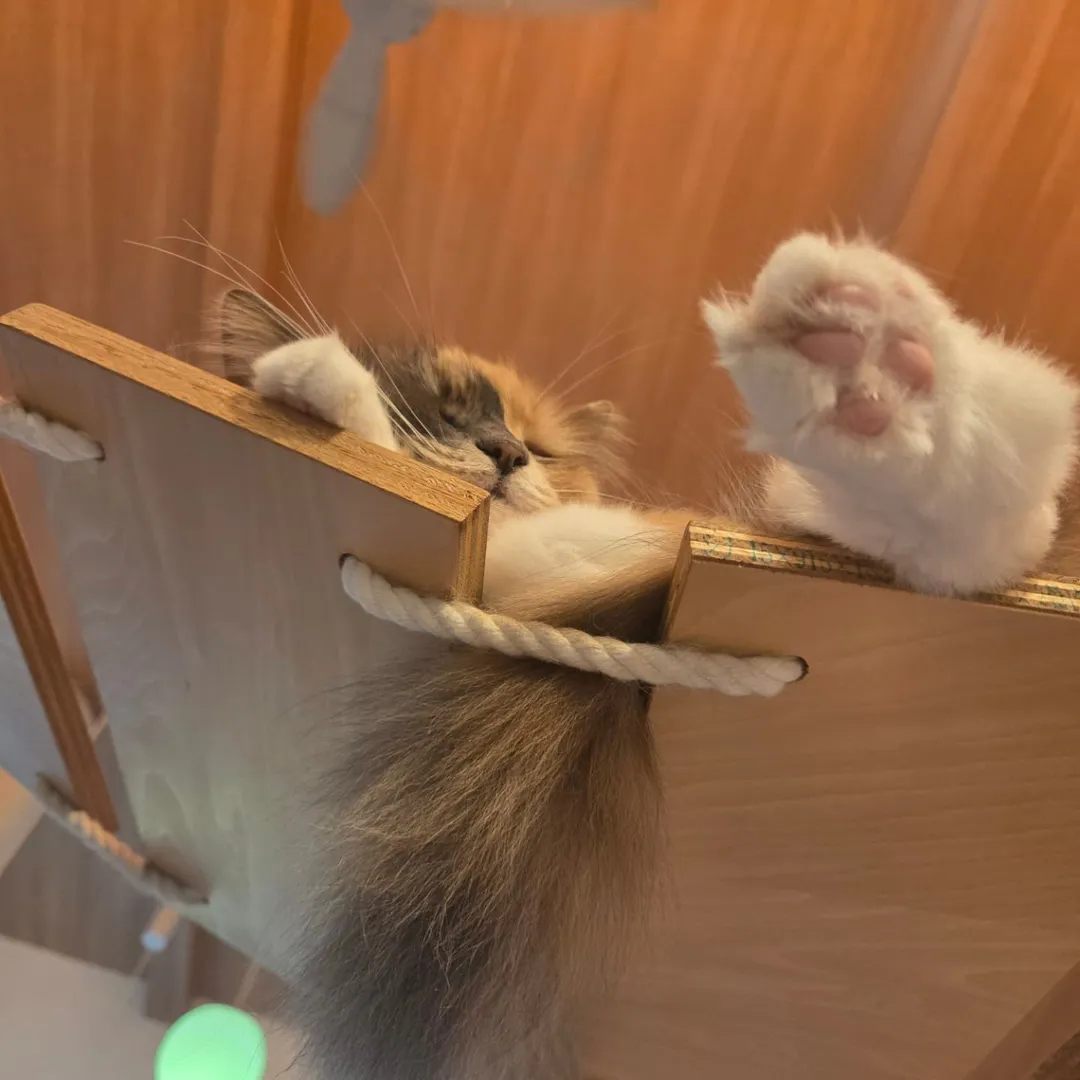 投稿の写真4
