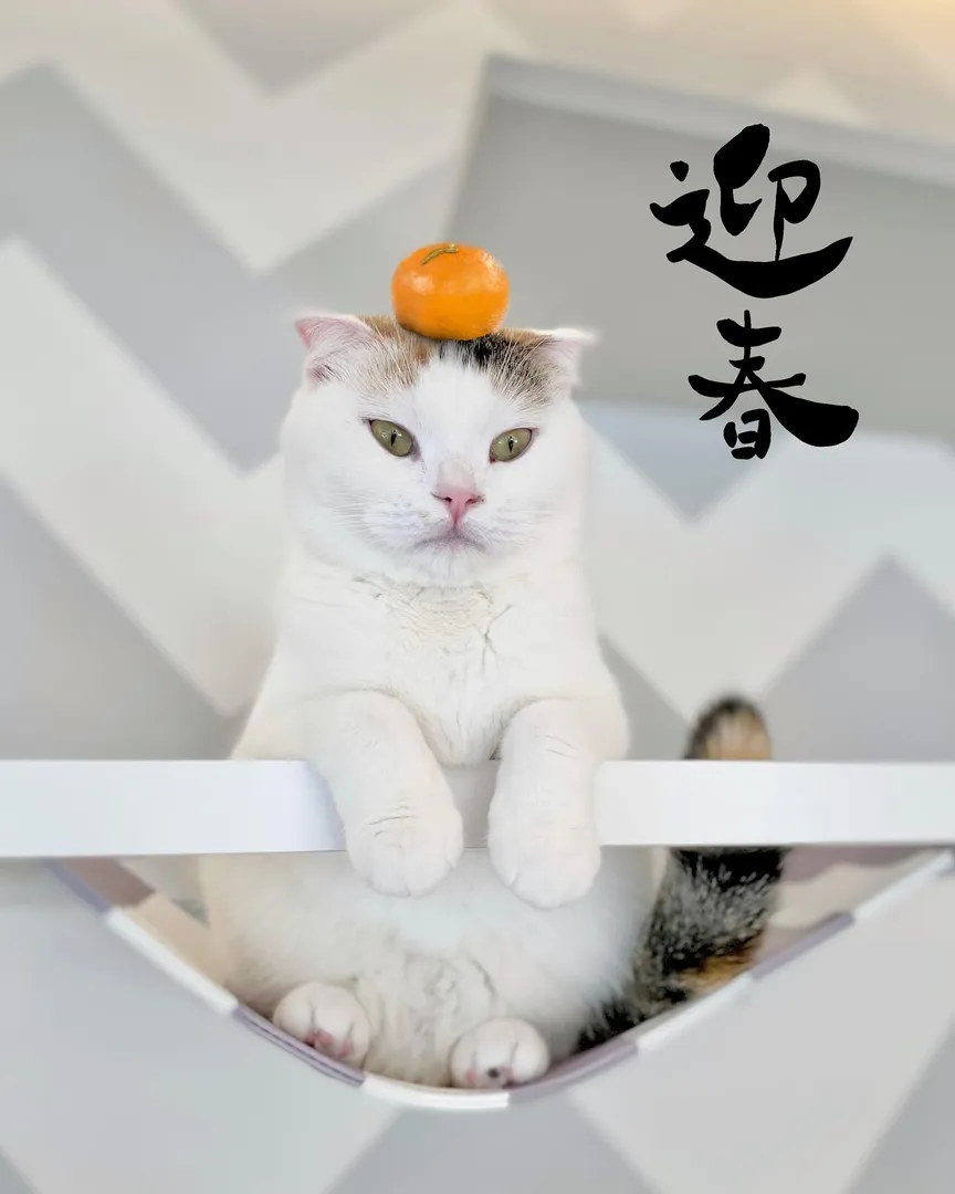 投稿の写真