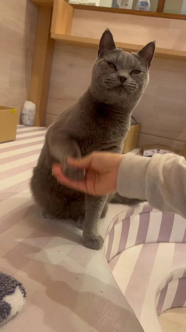 投稿の写真