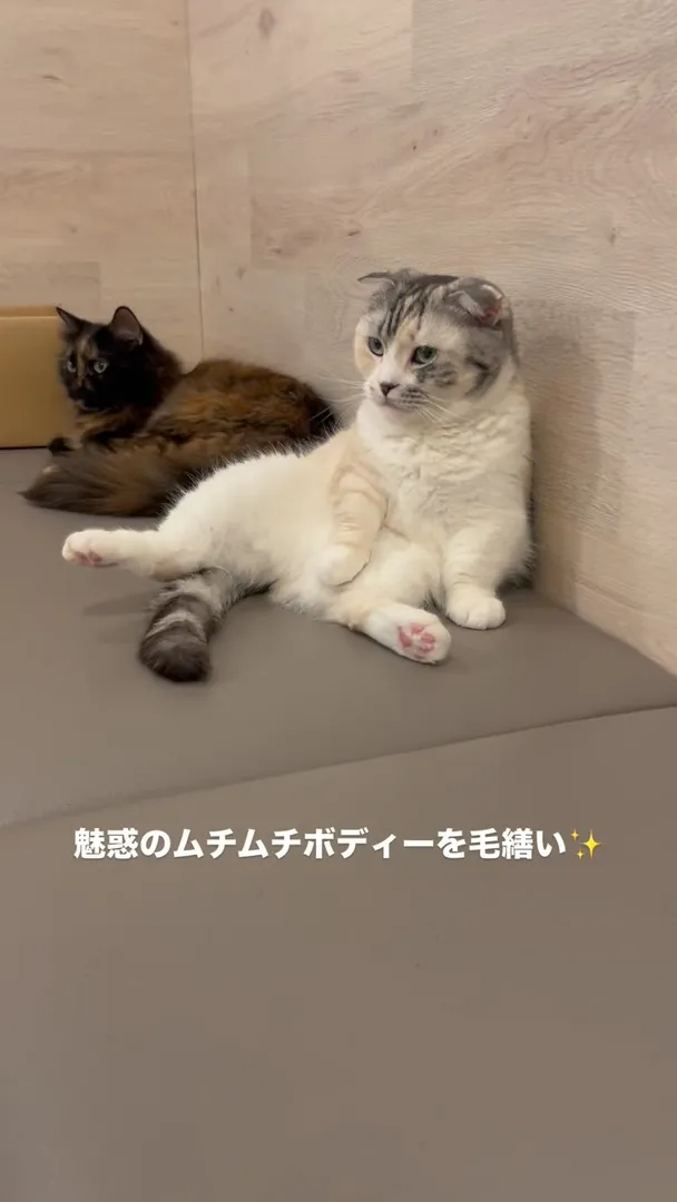 投稿の写真