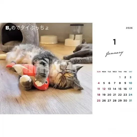投稿の写真4