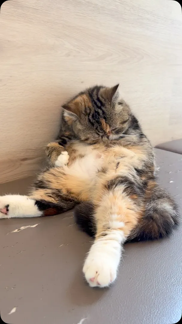 投稿の写真