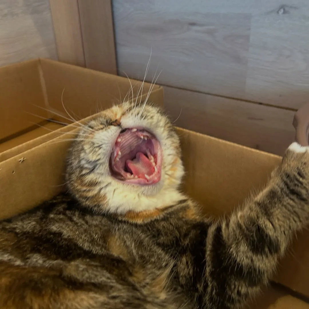投稿の写真2