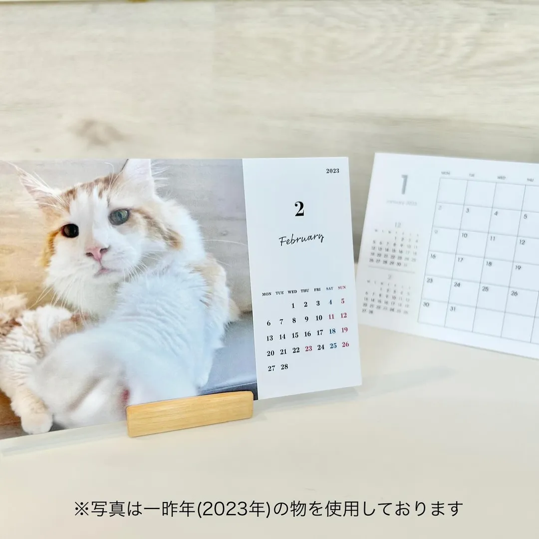 投稿の写真4