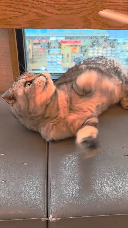 投稿の写真