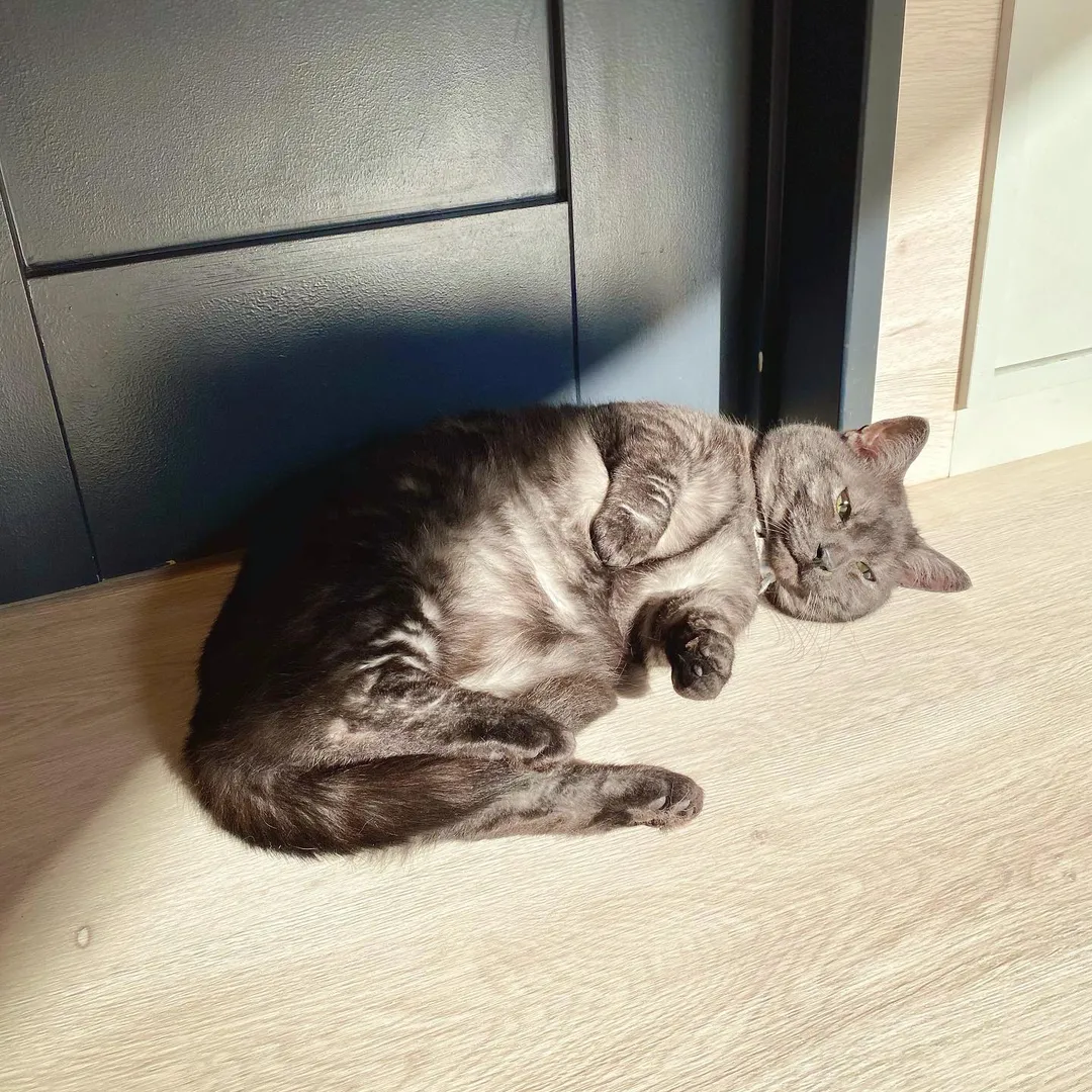 投稿の写真3