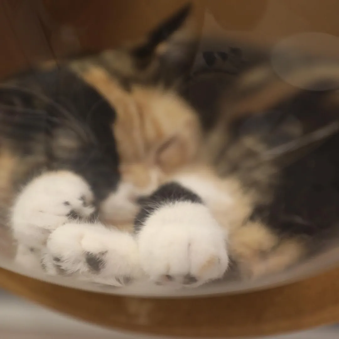投稿の写真2