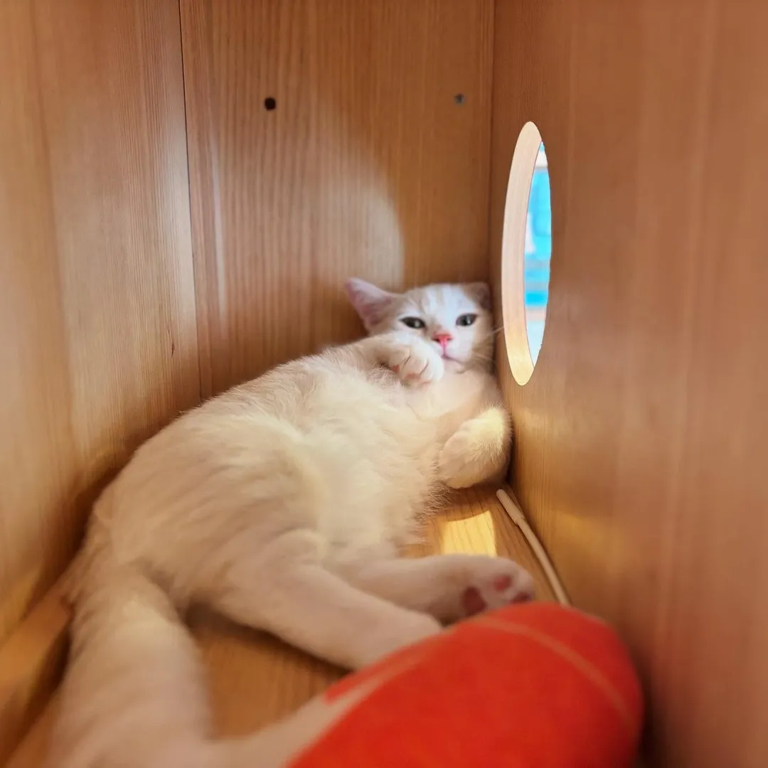 投稿の写真4