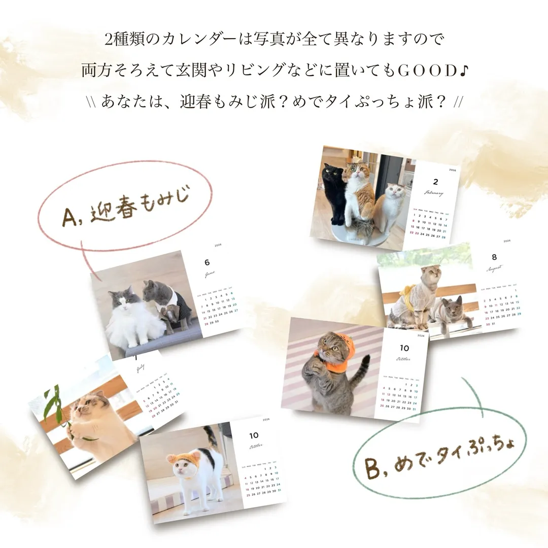 投稿の写真2