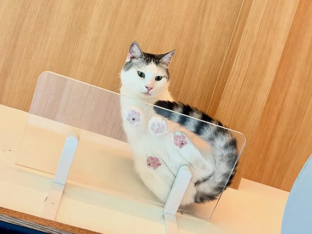投稿の写真1