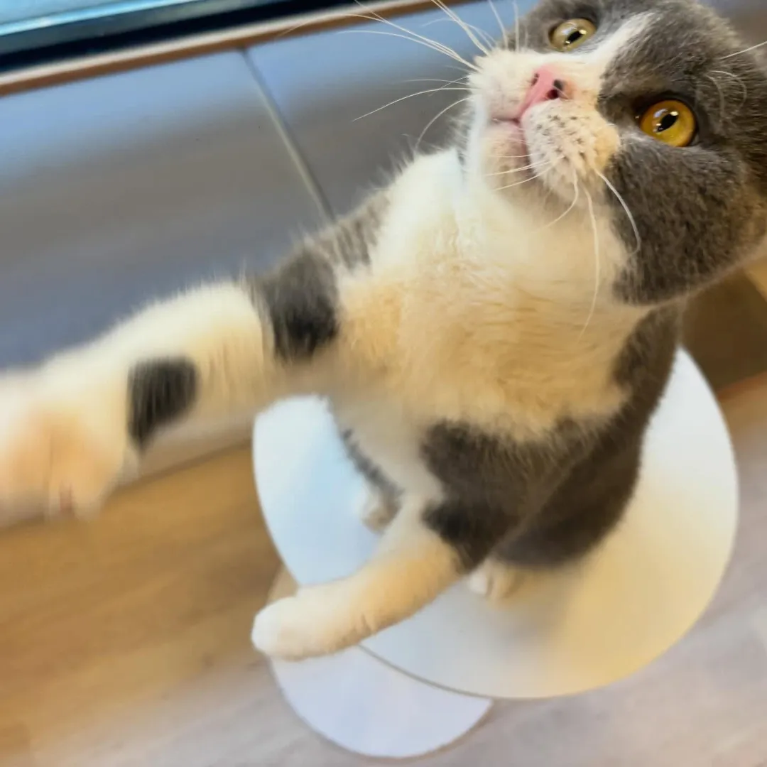 投稿の写真2