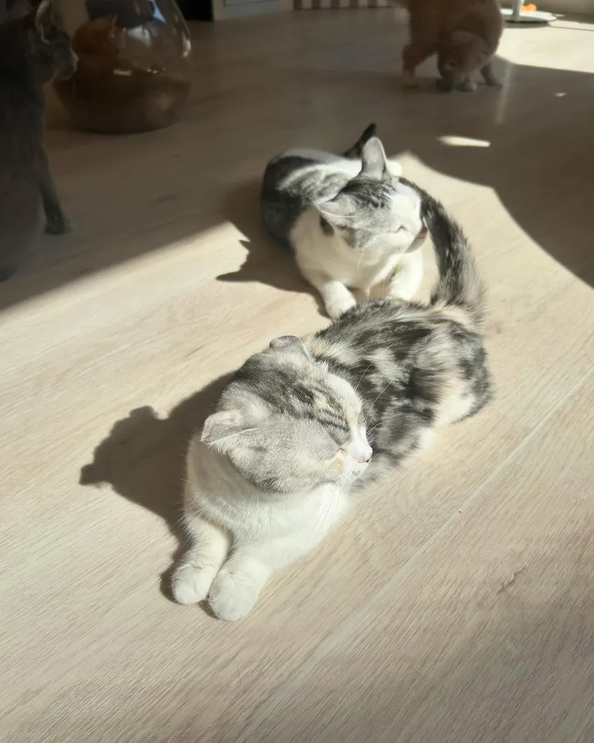 投稿の写真3