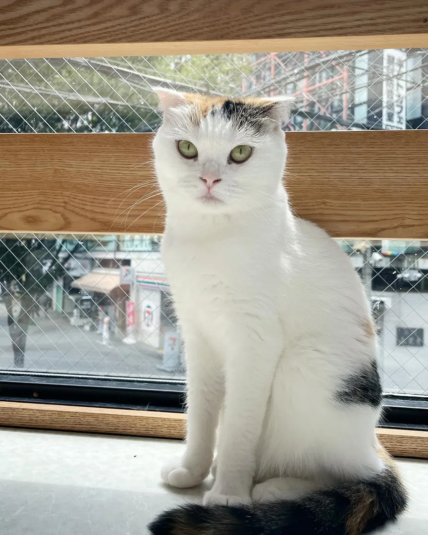 投稿の写真1