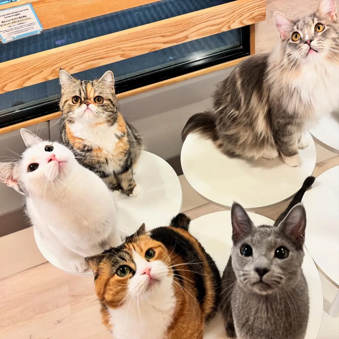 投稿の写真2