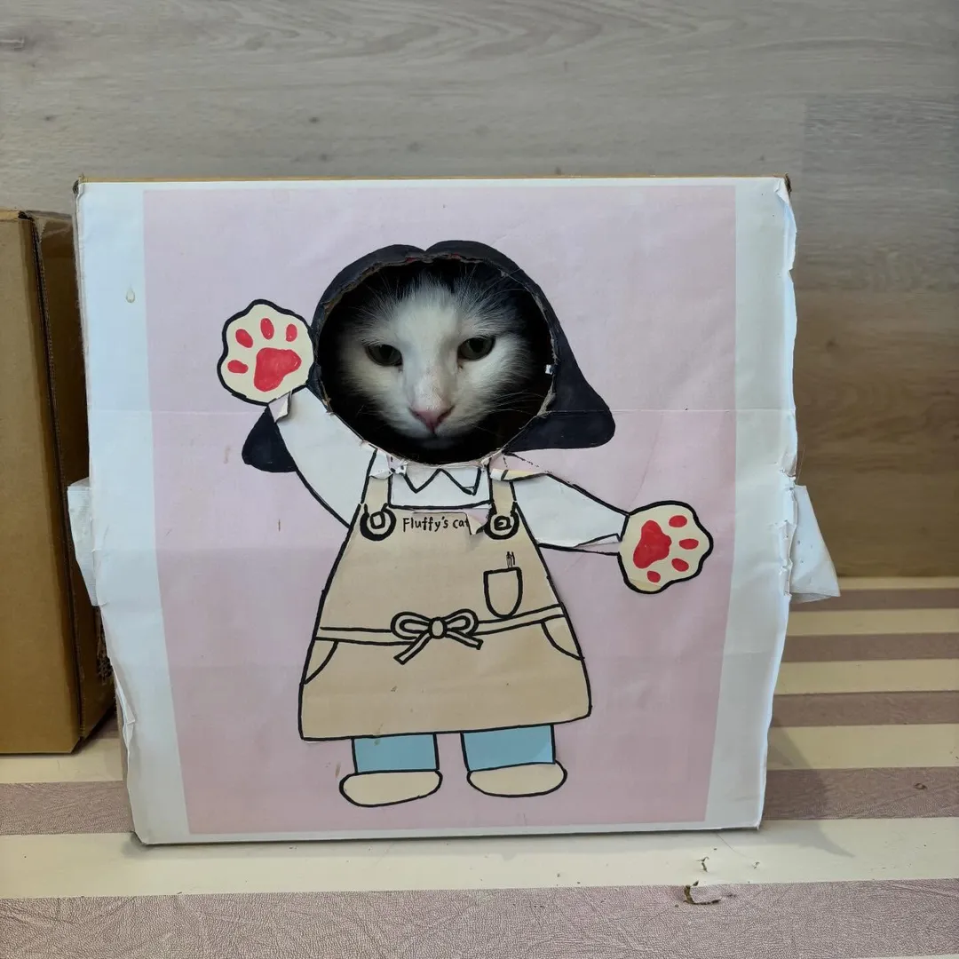 投稿の写真2