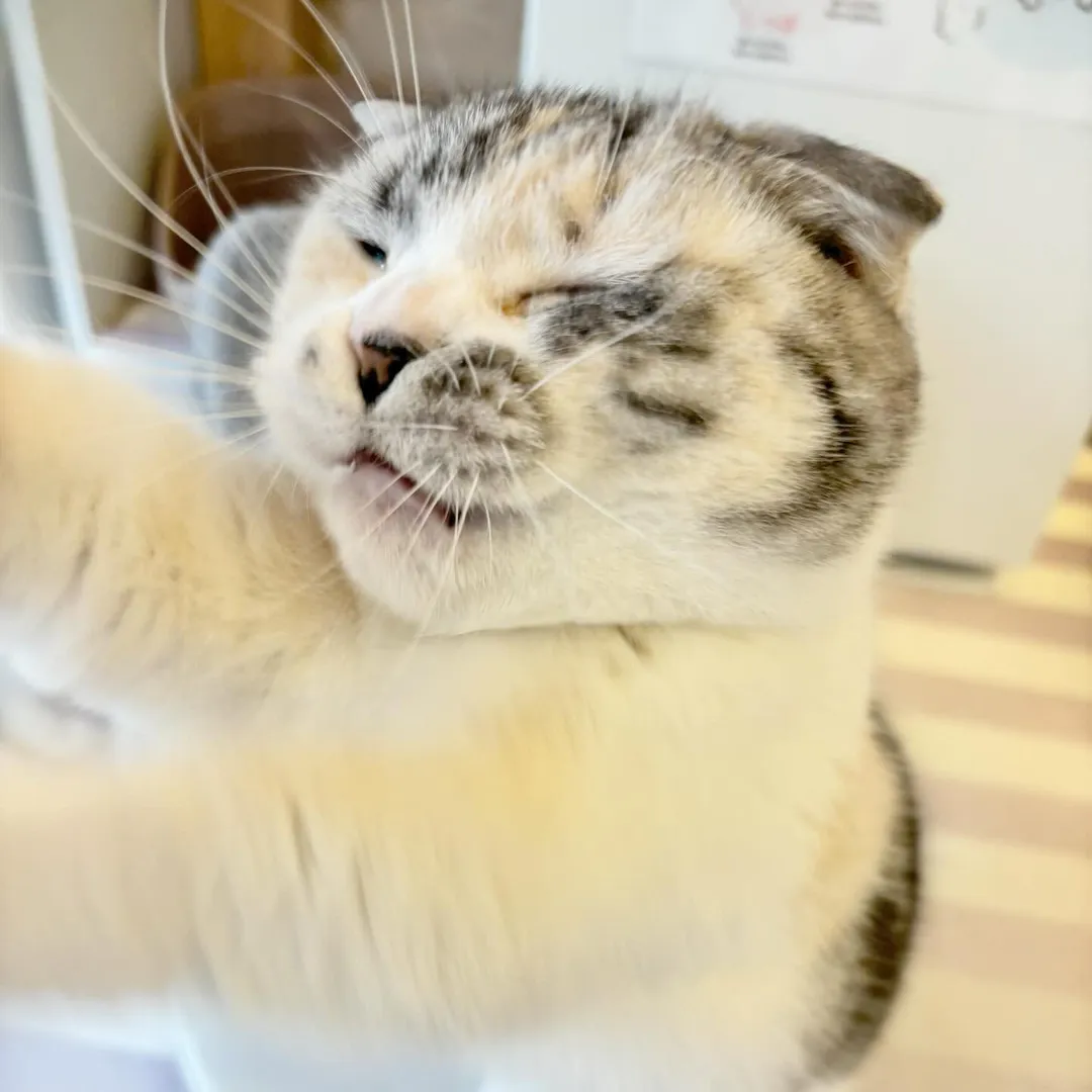 投稿の写真1