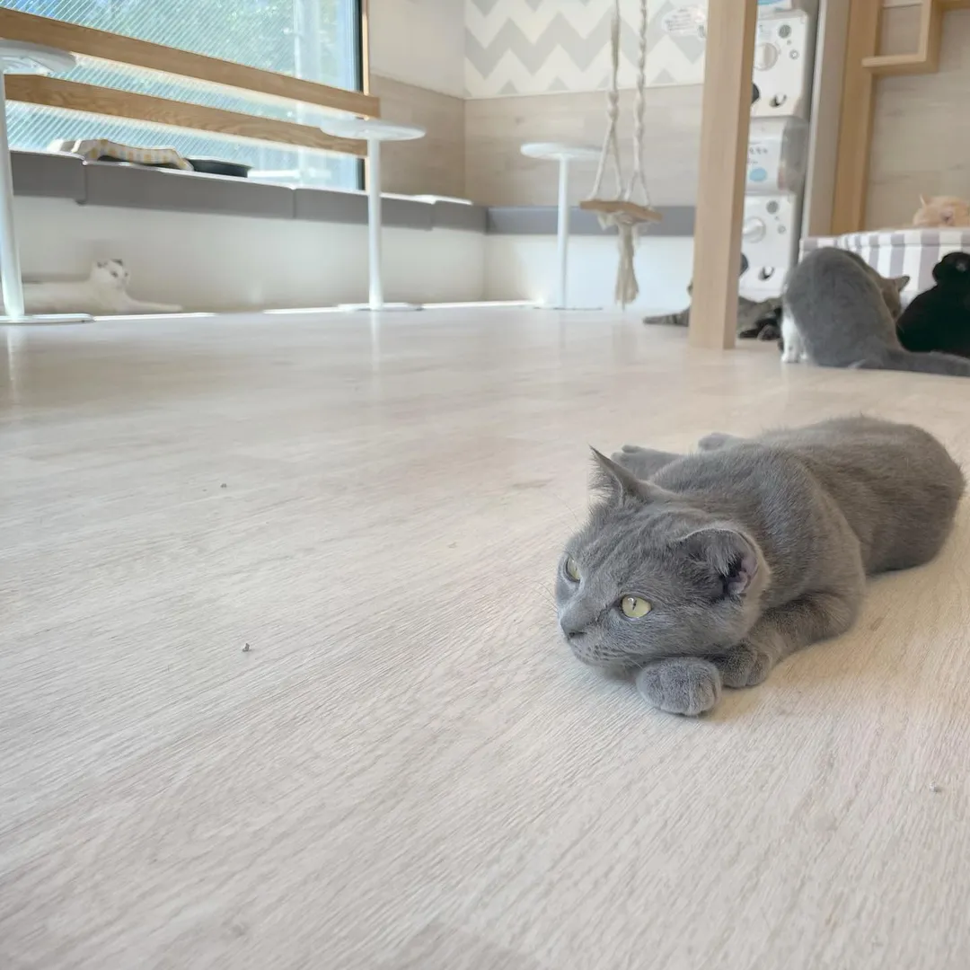 投稿の写真2
