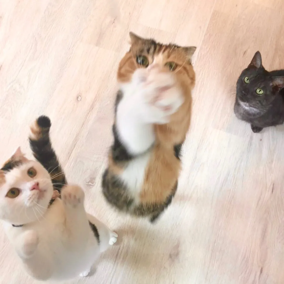 投稿の写真1