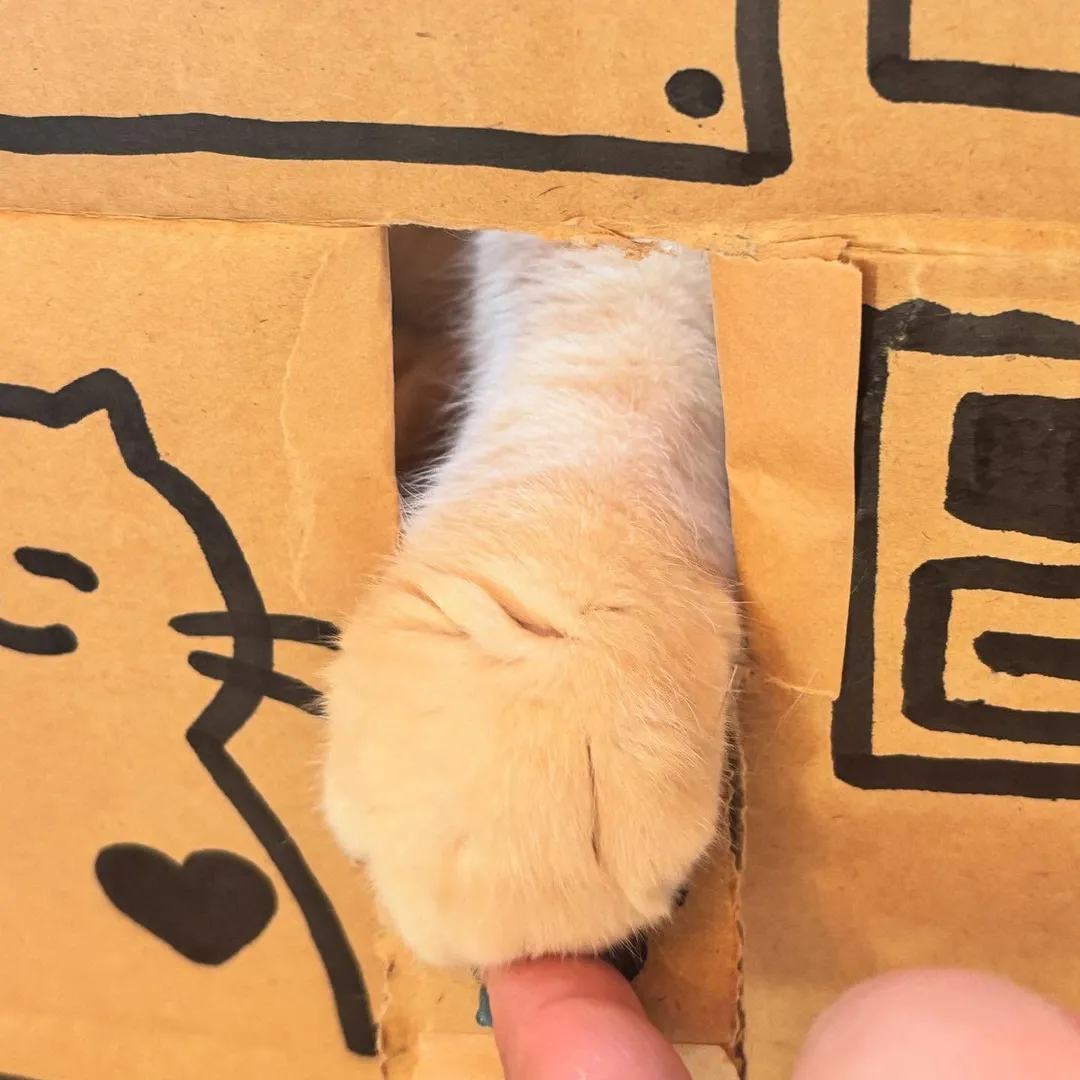 投稿の写真2