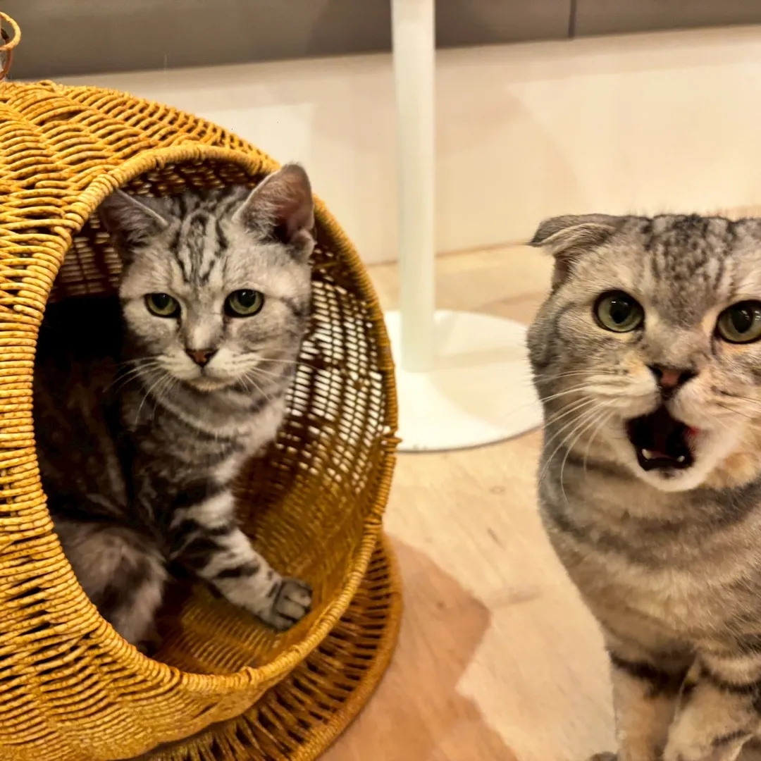 投稿の写真5