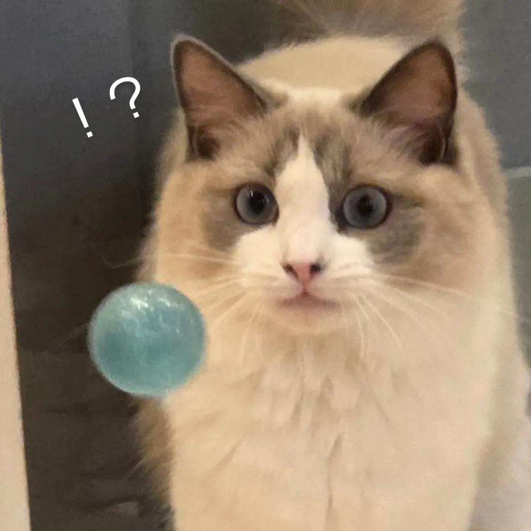 投稿の写真2