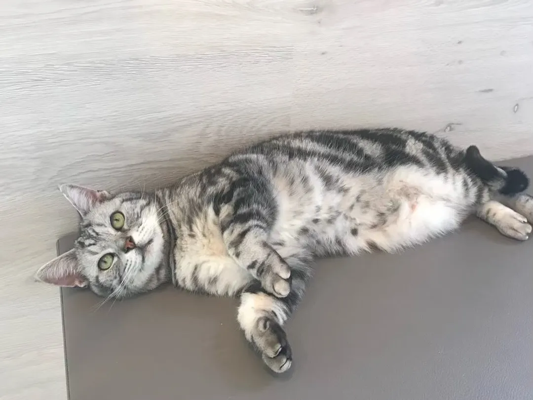 投稿の写真3