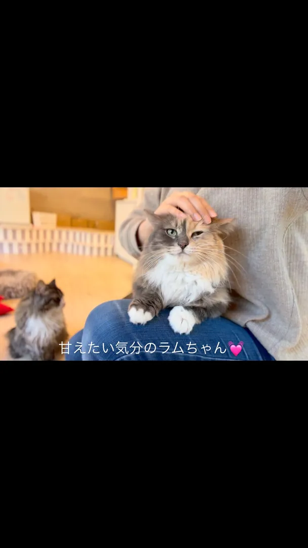 投稿の写真