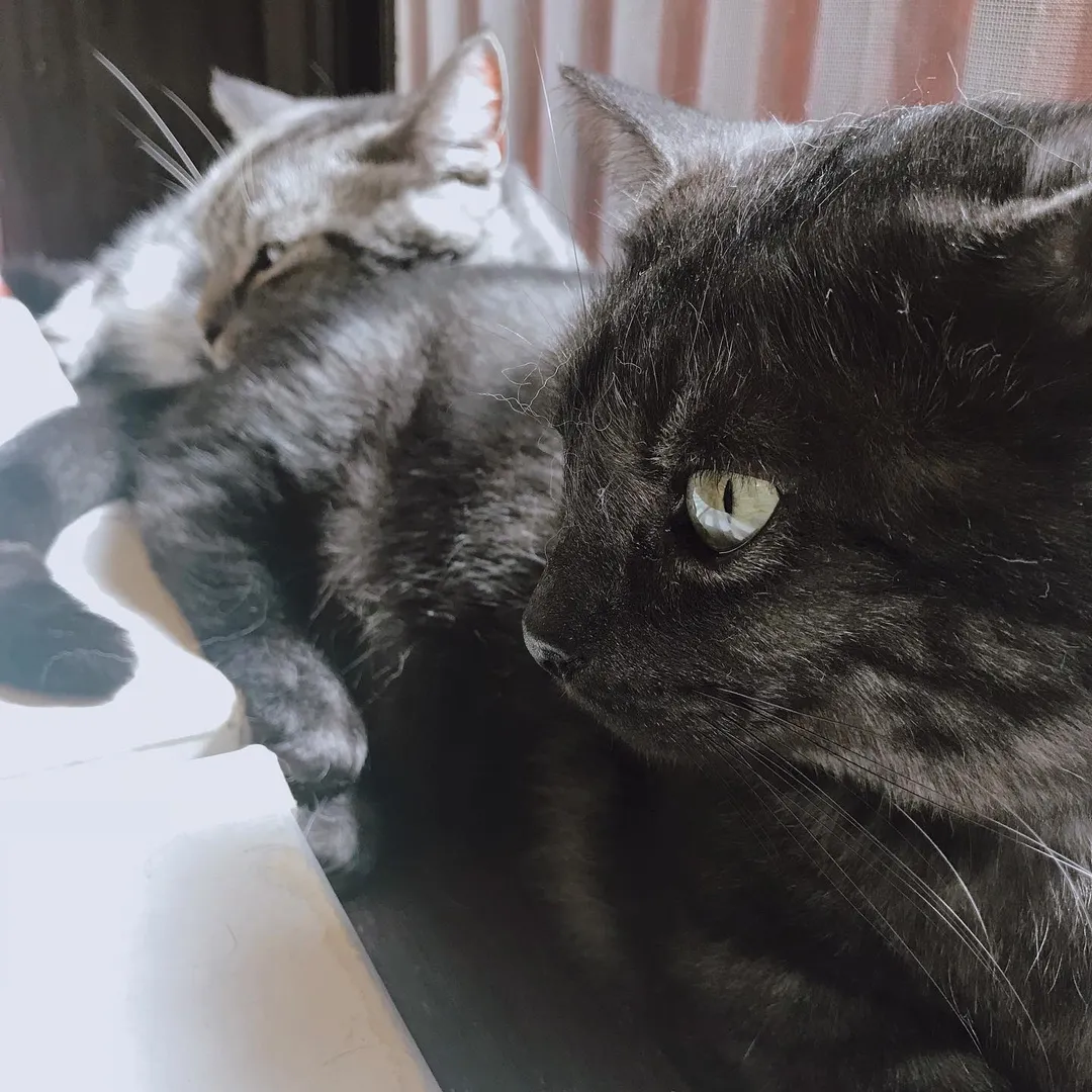 投稿の写真2