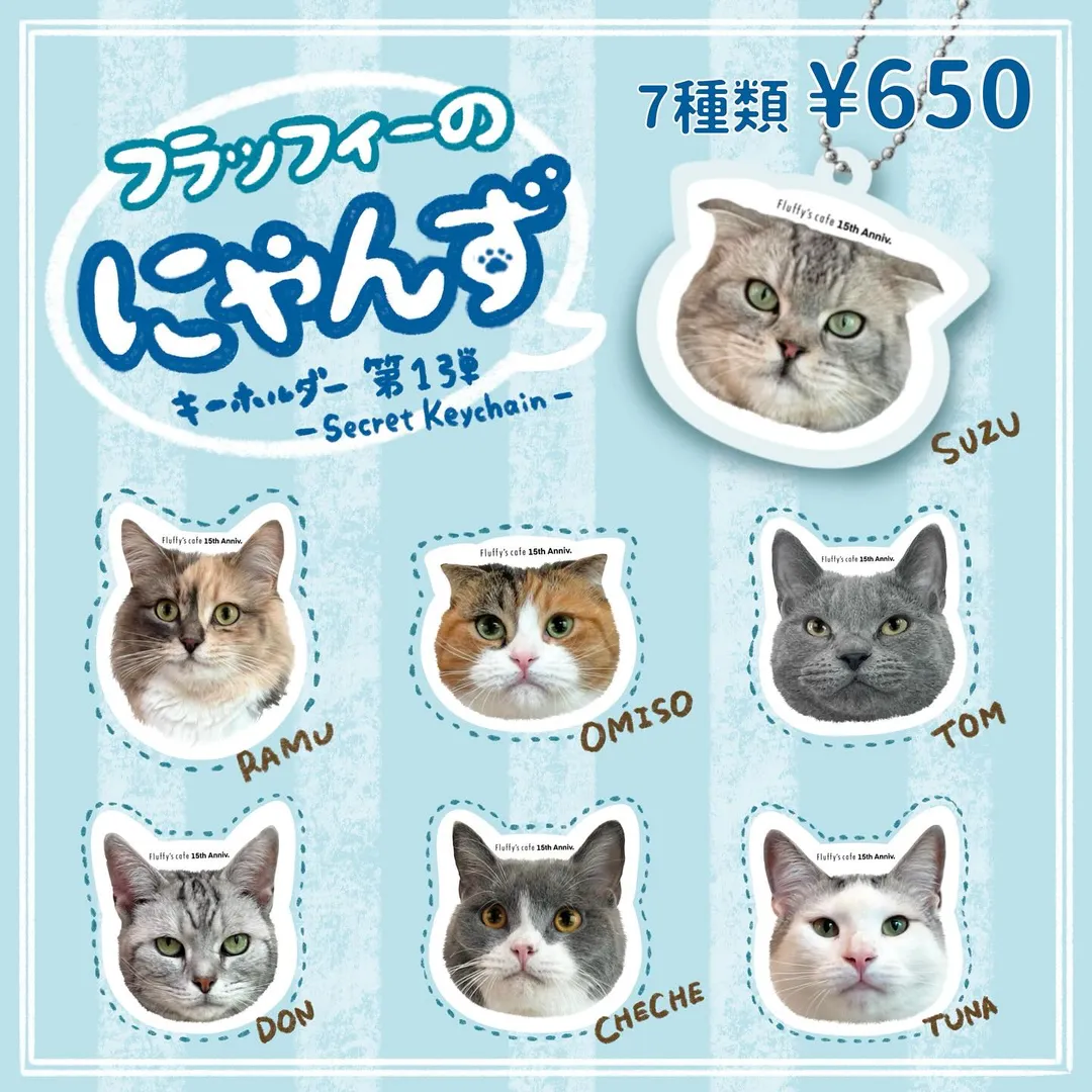 投稿の写真2