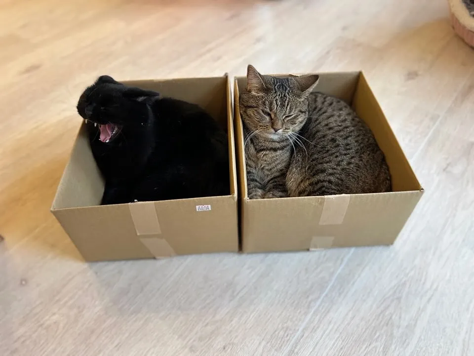 投稿の写真2