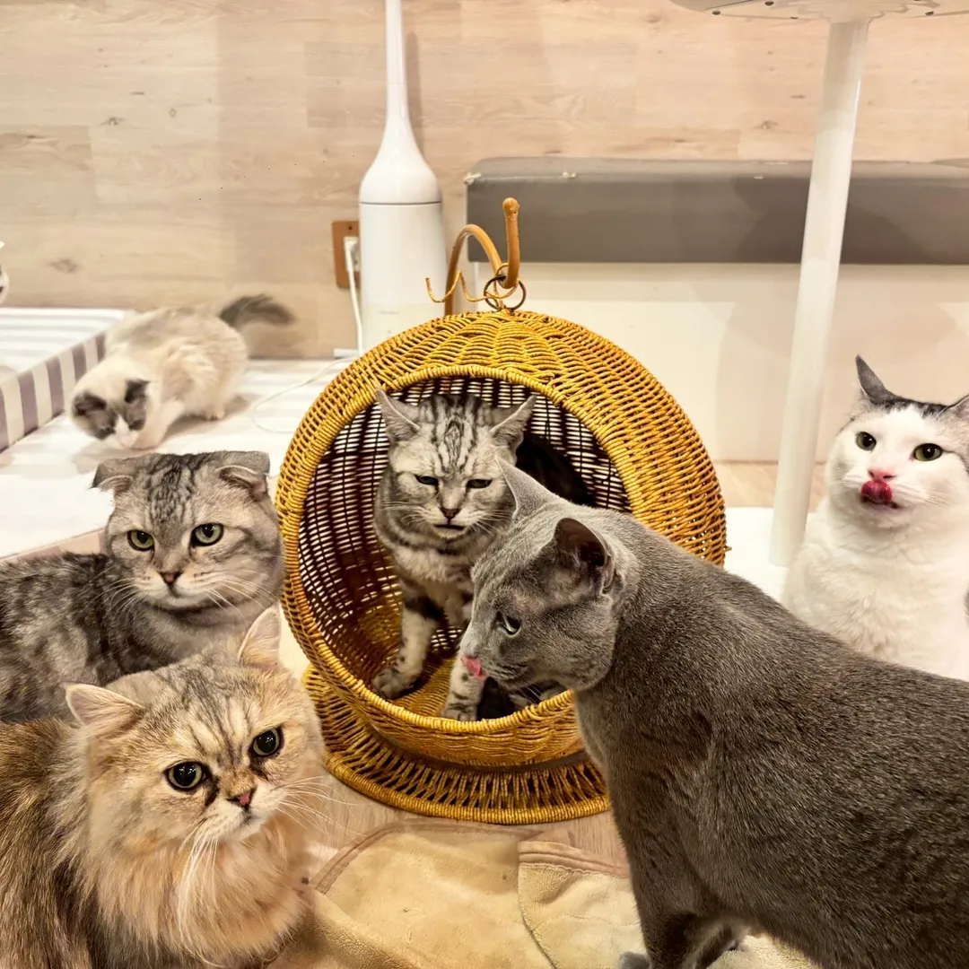 投稿の写真11