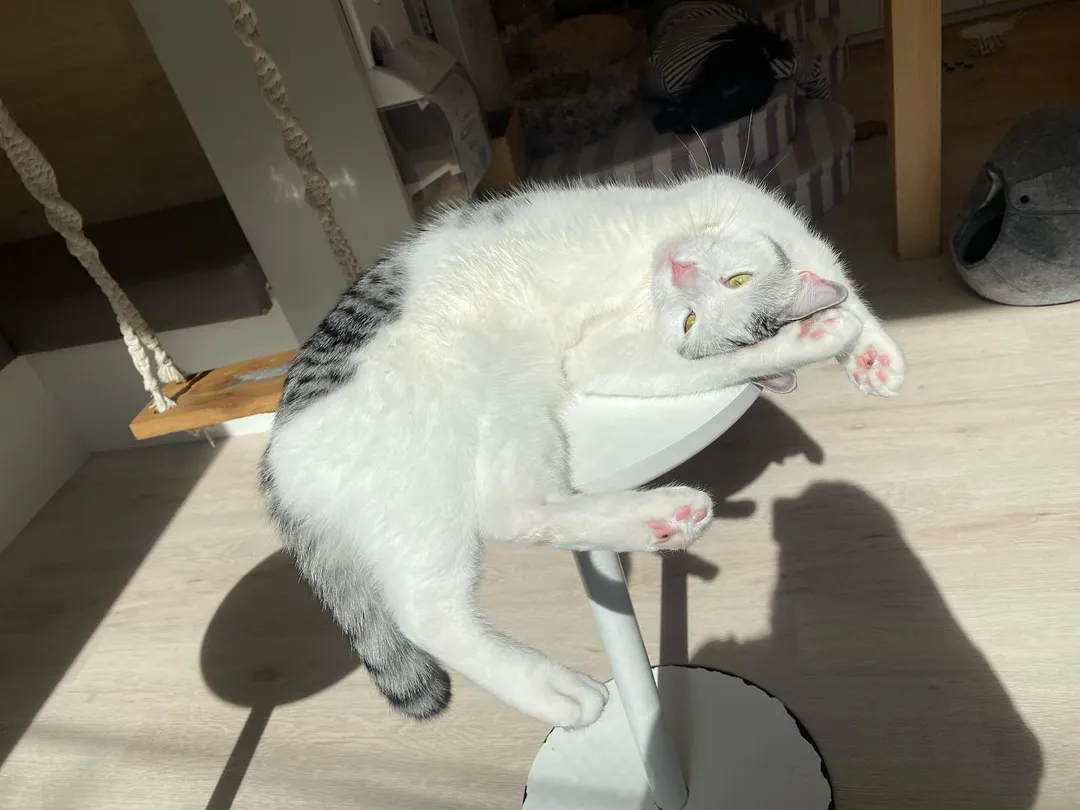 投稿の写真3
