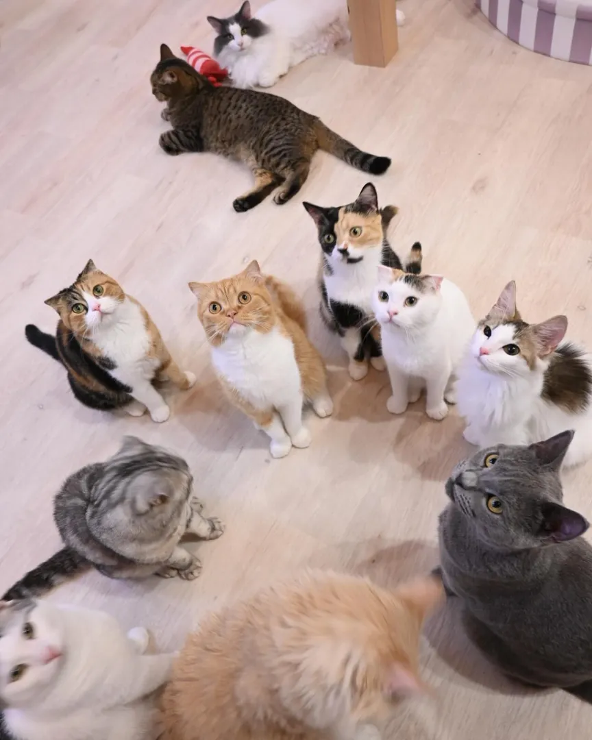 投稿の写真1
