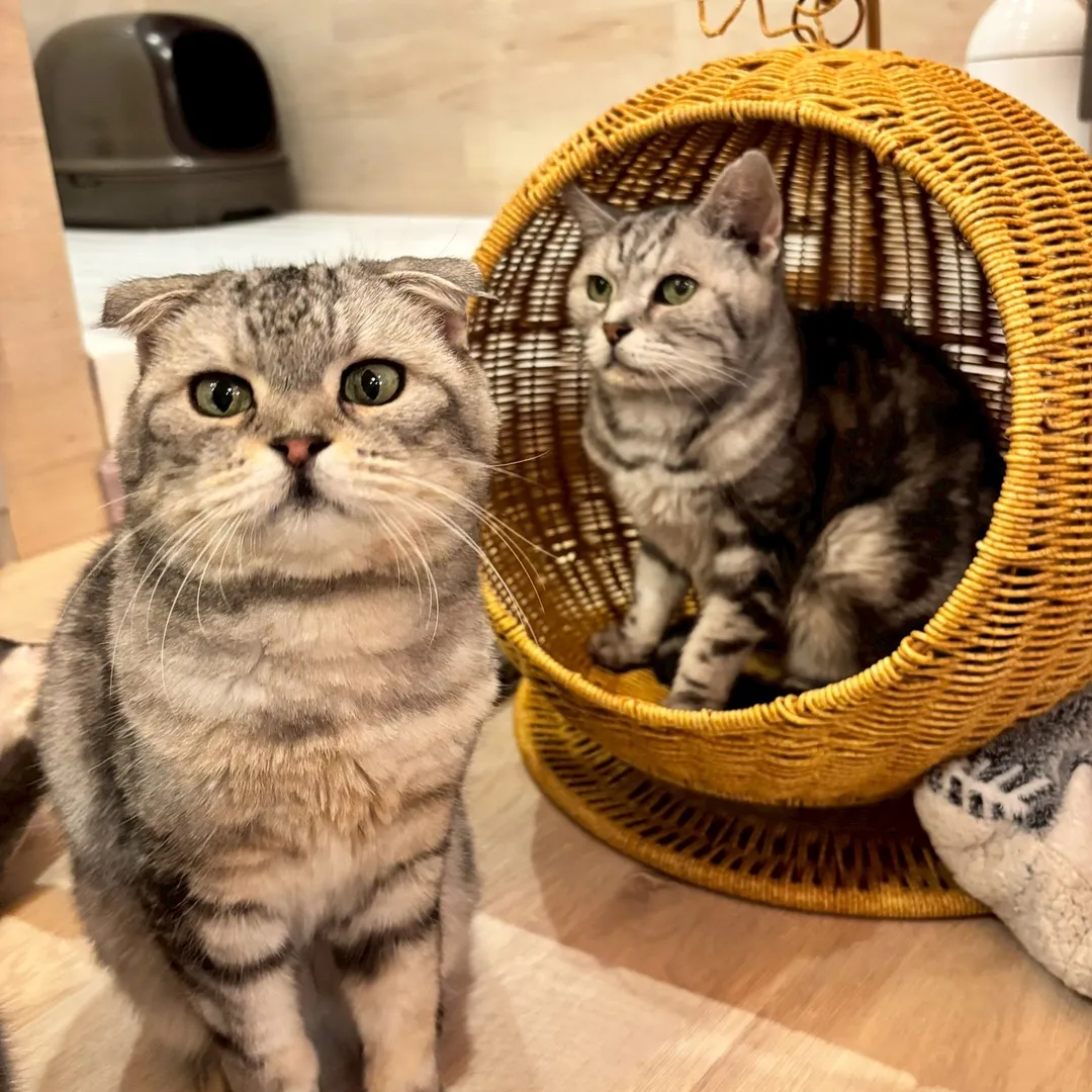投稿の写真4