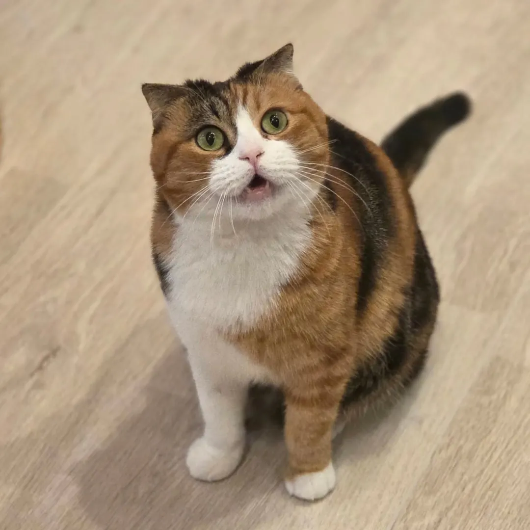 投稿の写真