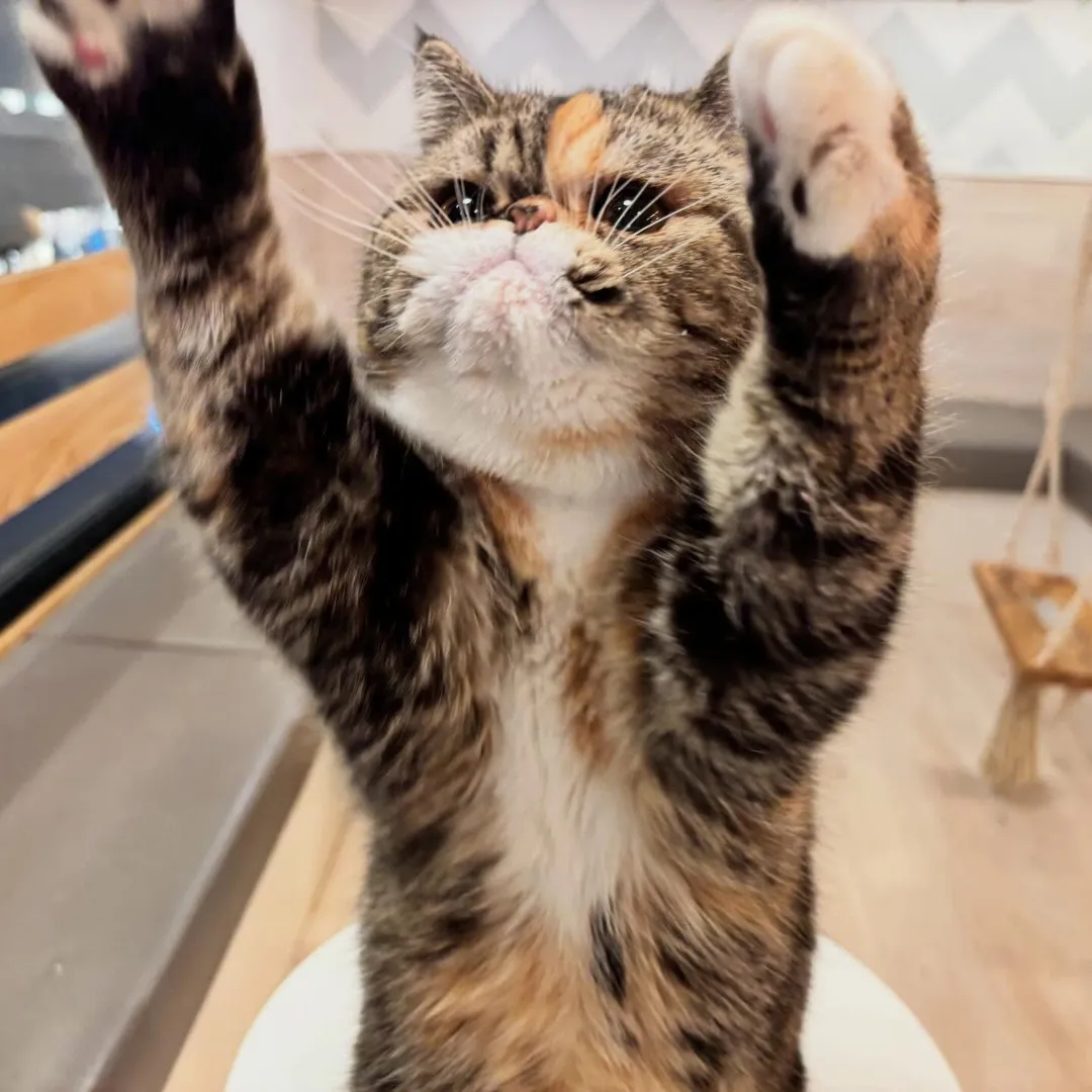 投稿の写真1