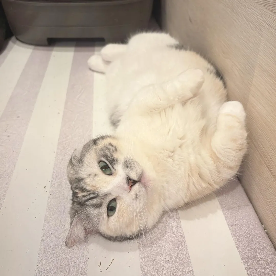 投稿の写真3