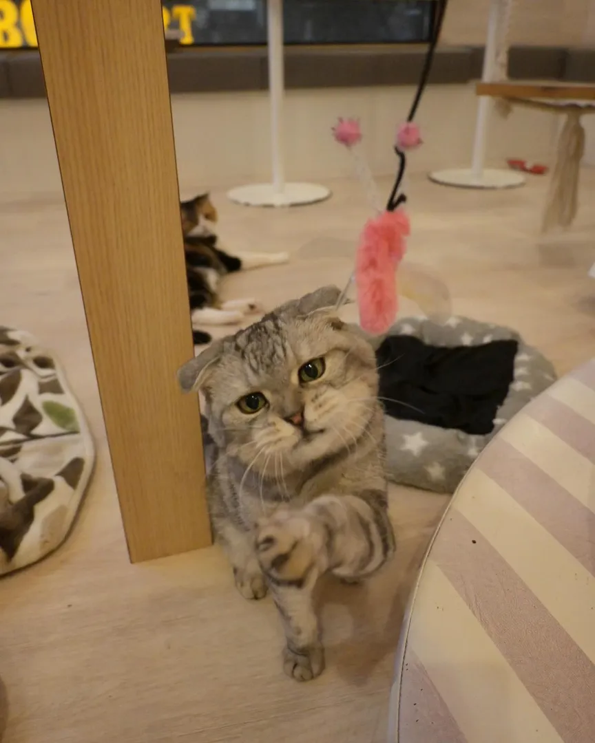 投稿の写真2