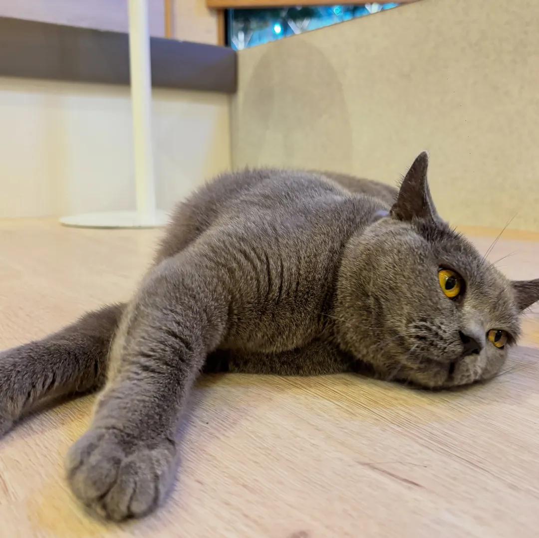 投稿の写真4