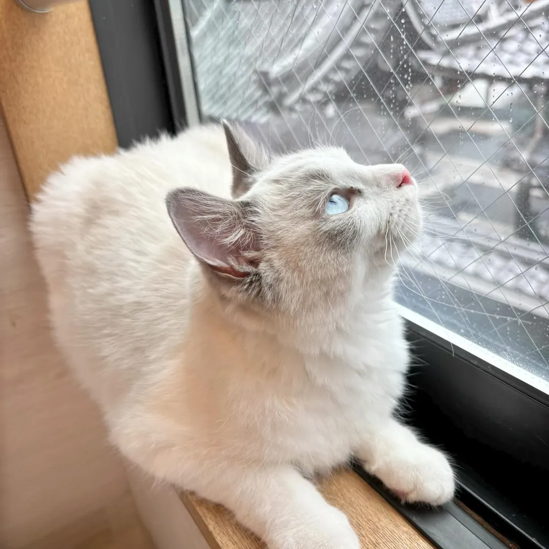 投稿の写真