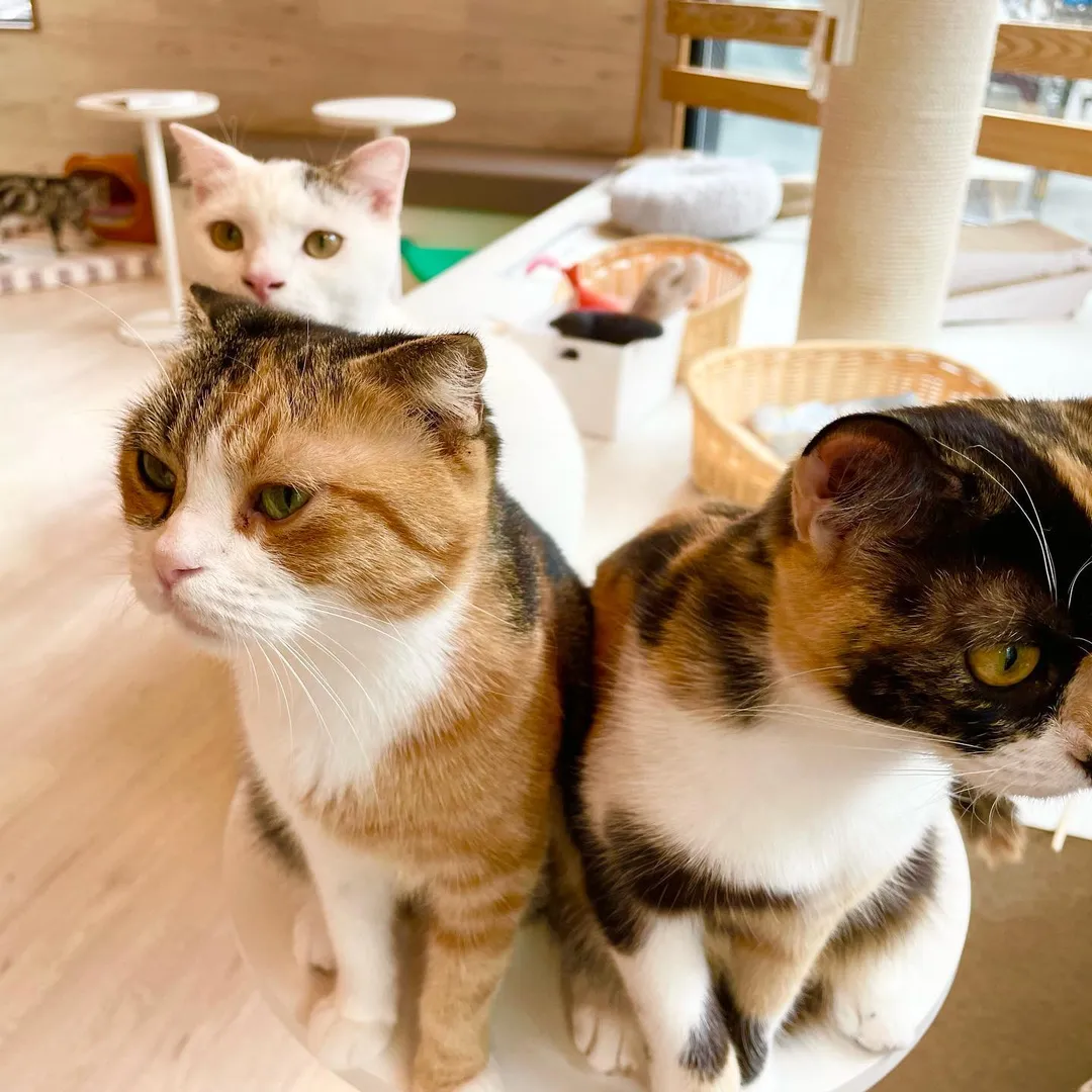 投稿の写真3
